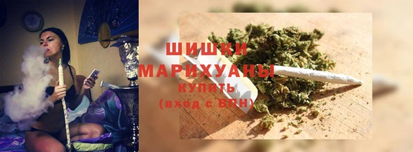 ПСИЛОЦИБИНОВЫЕ ГРИБЫ Козловка
