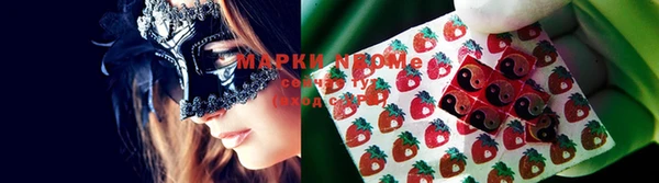 ПСИЛОЦИБИНОВЫЕ ГРИБЫ Козловка