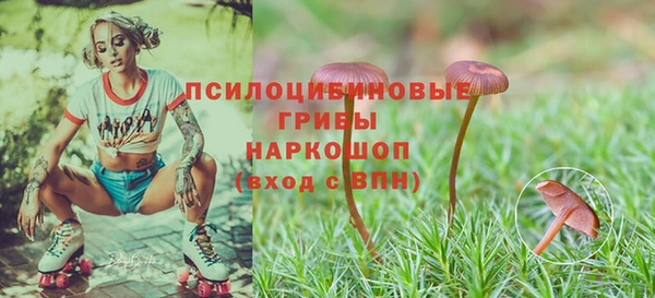 МДМА Кодинск